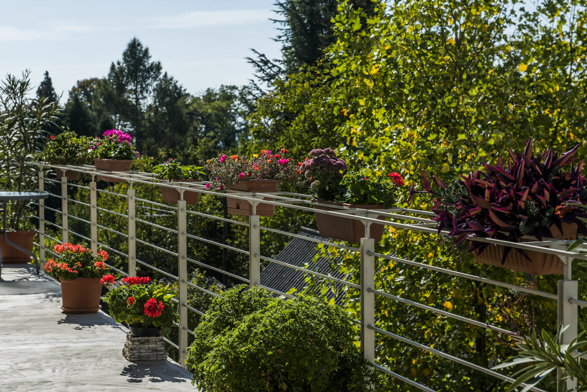 Feng Shui Wellness Apartmanház Hévíz Exterior foto