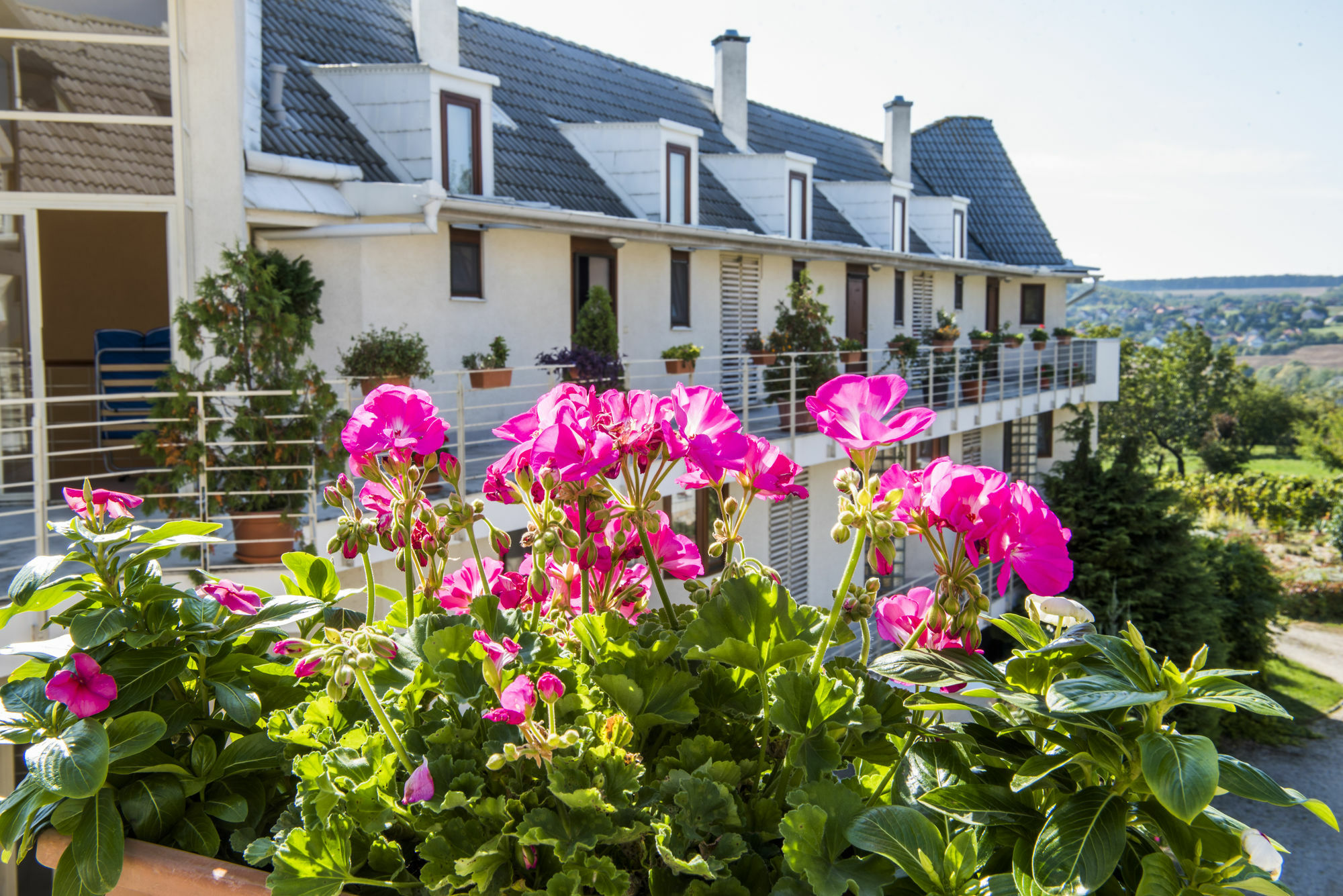 Feng Shui Wellness Apartmanház Hévíz Exterior foto